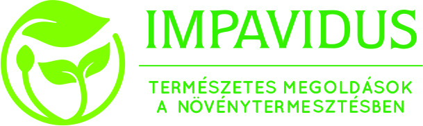 webinár