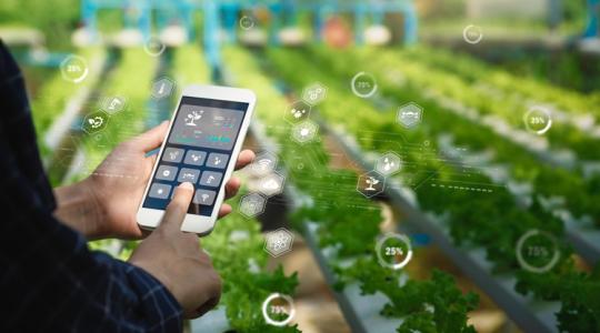 600 milliós hitel + 180 milliós támogatás: agrárcégeknek is elérhető a Nemzeti Bajnokok Hitelprogram 600 milliós hitel + 180 milliós támogatás: agrárcégeknek is elérhető a Nemzeti Bajnokok Hitelprogram