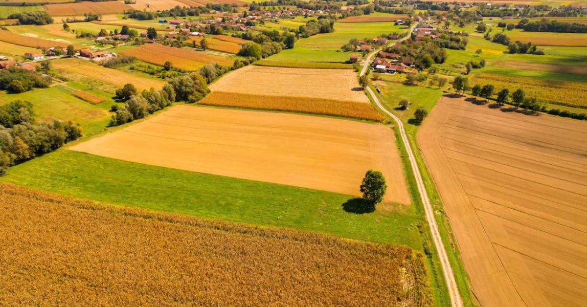 45 milliárd forintot fizettek ki több mint 500 vállalkozásnak
