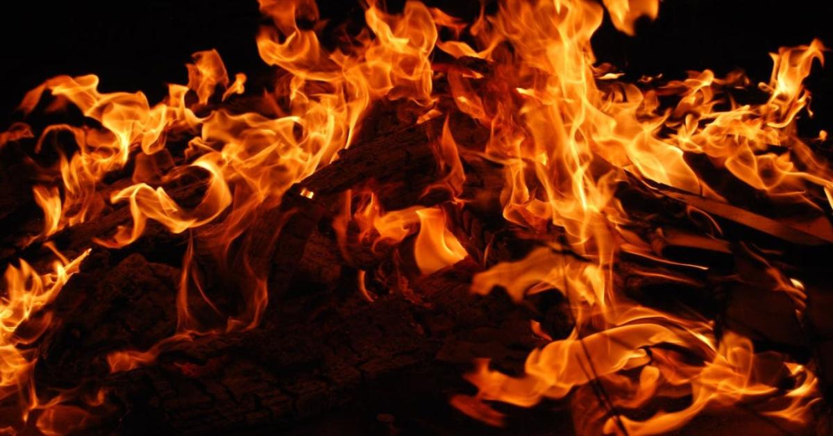 Nádas égett Soroksárnál, gyorsan megfékezték a tüzet