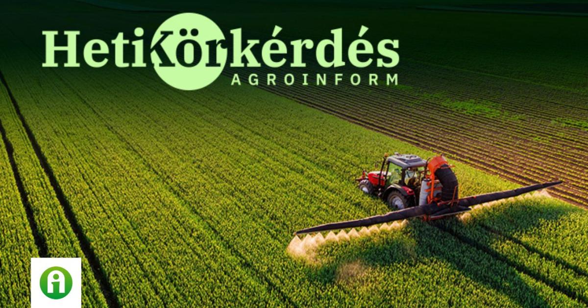 Melyek a lombtrágyázás sarokpontjai, ha a minőségi búzatermesztés a cél? – Heti Körkérdés