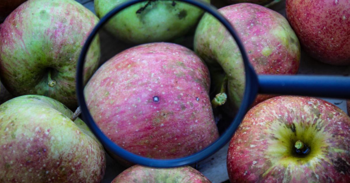 Foltos lett az almád? Itt az ok és a megoldás!
