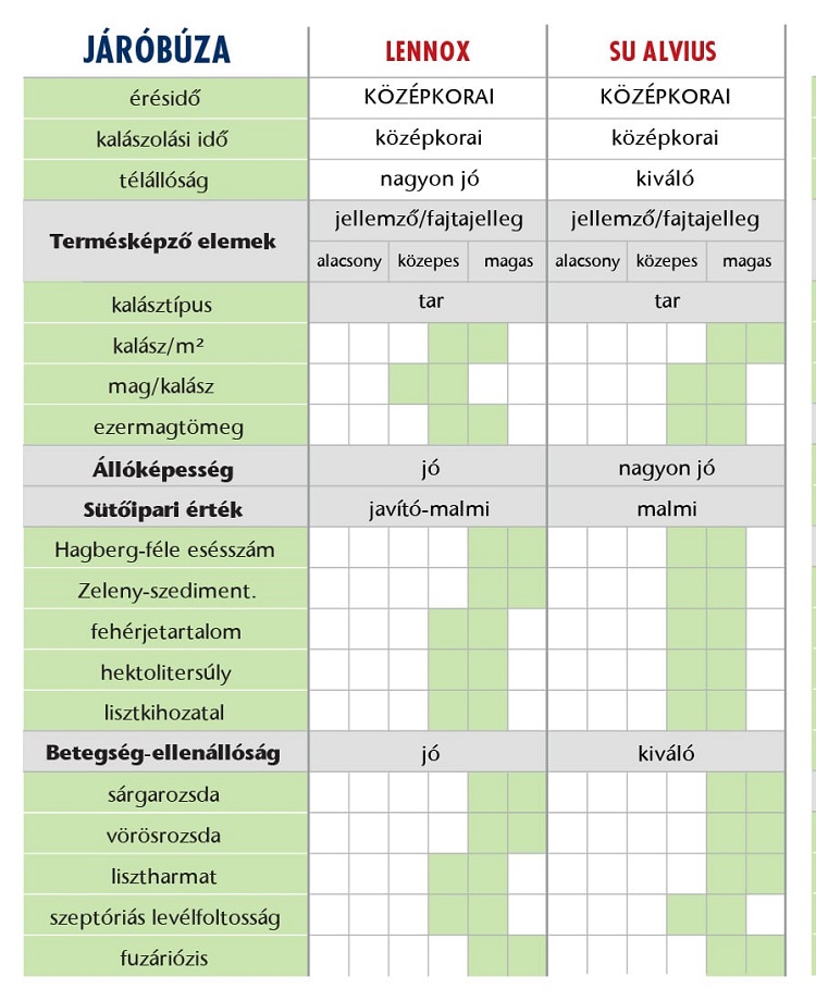 körkérdés