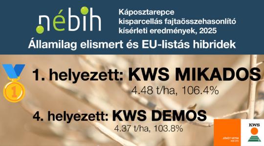 Stabilitás és csúcstermés: KWS MIKADOS a dobogó tetején