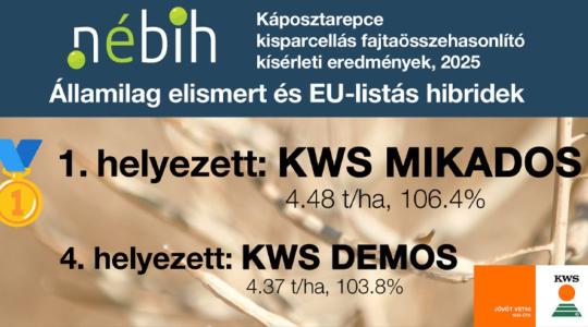 KWS MIKADOS – Bajnoki teljesítmény minden évben, megbízhatóan!