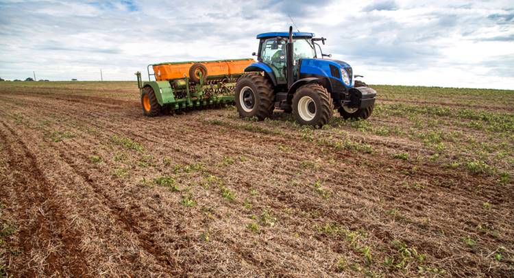 no-till