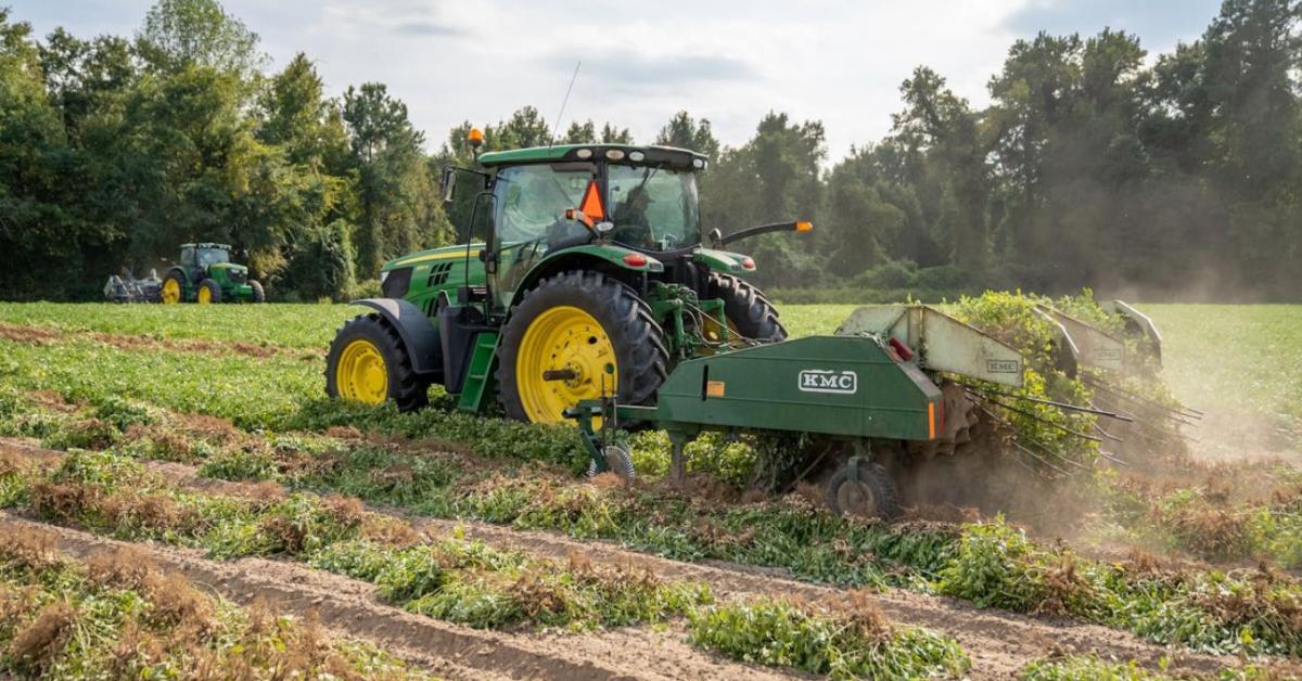  Hetekkel hamarabb érkezhetnek meg a támogatások a gazdákhoz