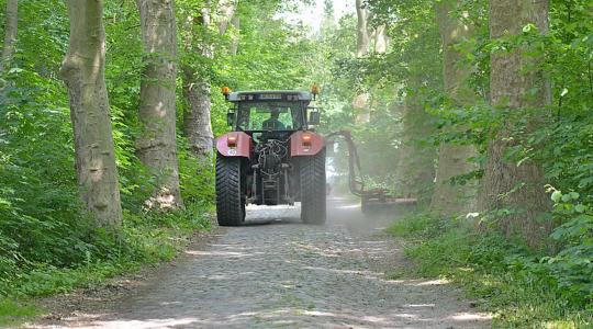 Enyhe hidegfront enyhíti a forróságot, de jön az újabb hőhullám