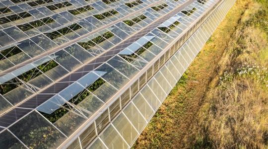 Ez az új technológia segíthet a kiszáradófélben lévő területek gazdáinak túlélni