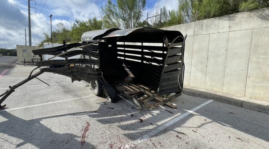 Magára hagyták a sérült állatot – két ember börtönben! Magára hagyták a sérült állatot – két ember börtönben!