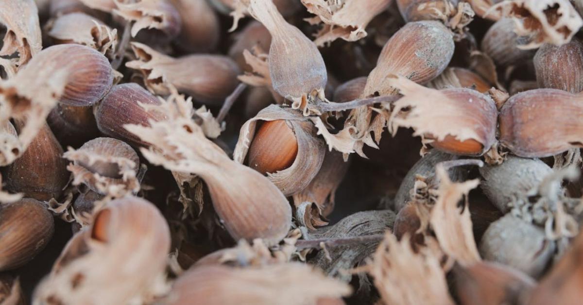 Bajban az édességgyártók: kulcsfontosságú alapanyagból alakult ki hiány