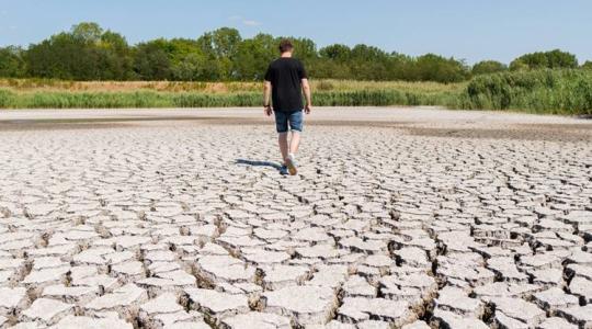 Kritikus a helyzet a Homokhátságon: vannak gazdák, akik már feladnák Kritikus a helyzet a Homokhátságon: vannak gazdák, akik már feladnák