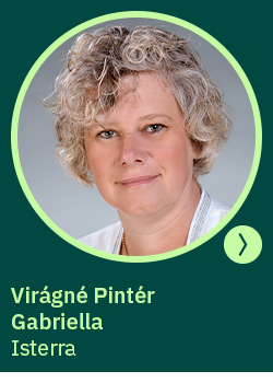 heti körkérdés