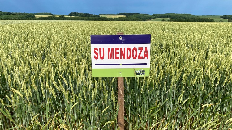 su
