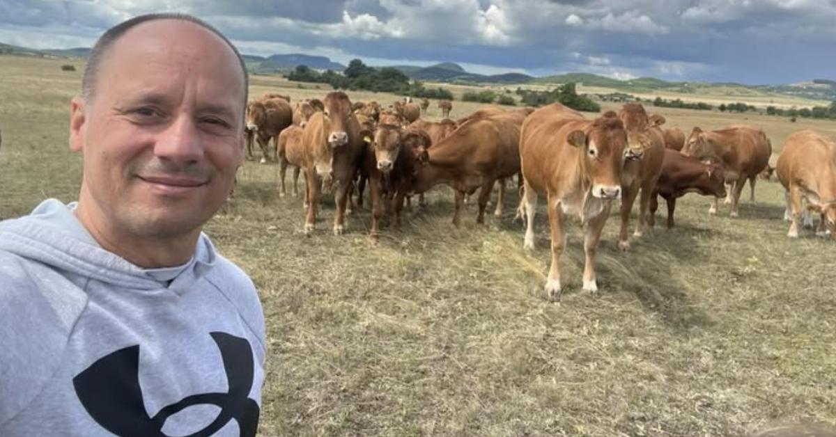 Kiderült: ezért kerülhet válságba a magyar állattenyésztés!