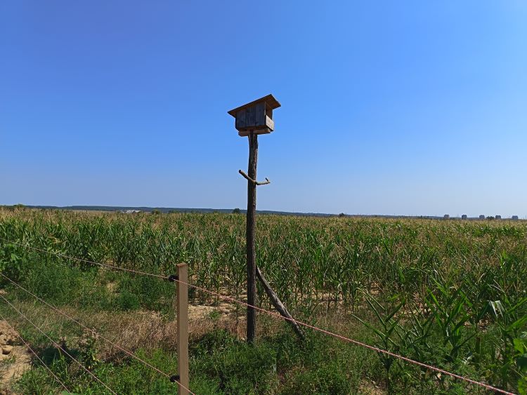 gazdalátogatás