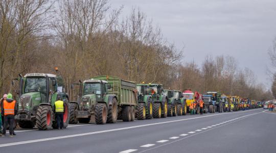 Minden harmadik magyar gazdától megvonnák a támogatást? Minden harmadik magyar gazdától megvonnák a támogatást?