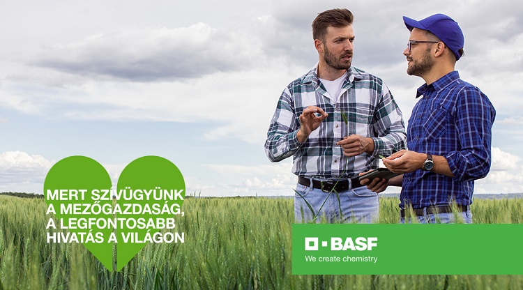 basf