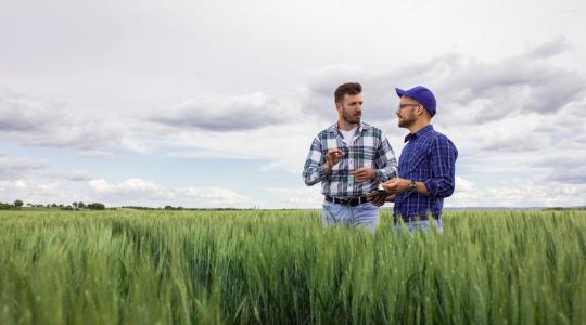 Mit tanulhatunk a magyar gazdáktól? A BASF videósorozata válaszol