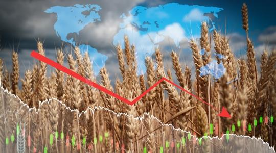 2025 nagy kérdése, ami felforgatja a gabonapiacot
