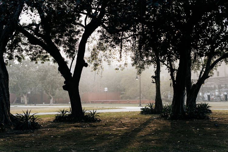 park
