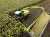 CLAAS JAGUAR 1000: új korszak a silókombájnok világában