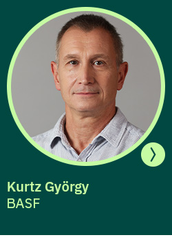 körkérdés