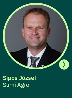 körkérdés