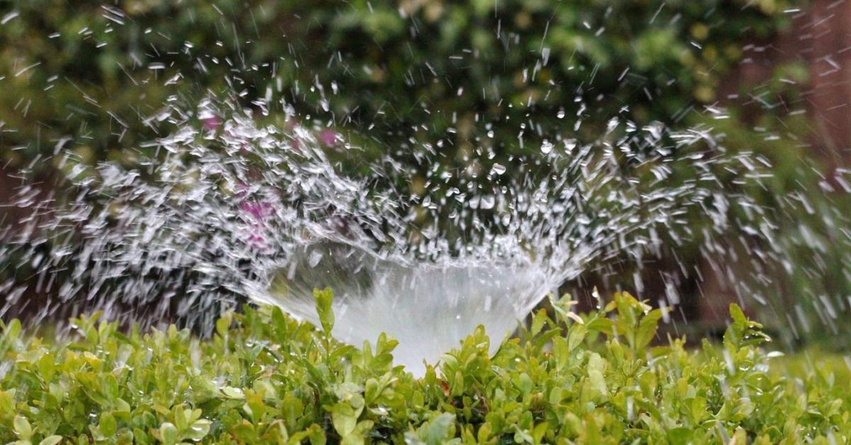 Felületi, esőszerű, csepegtető – melyik öntözés éri meg? Felületi, esőszerű, csepegtető – melyik öntözés éri meg?