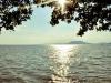 Szennyezés a Balatonban: azonnal léptek a hatóságok