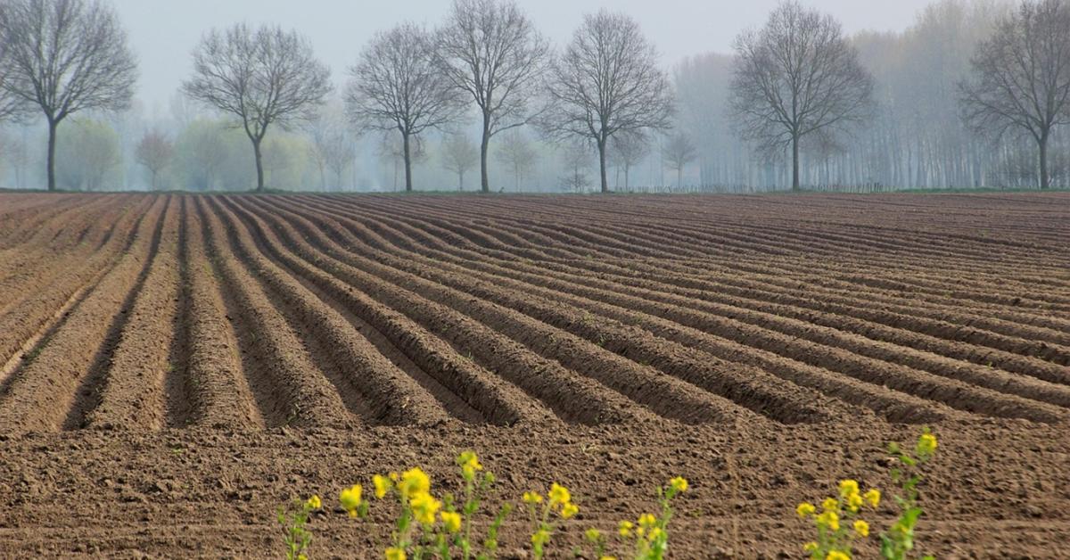 Öröklés és földhasználati ranghelyek: mit visznek tovább az örökösök?