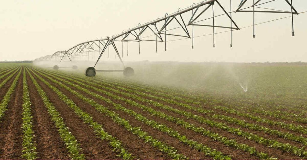 Kalocsa Térségi Öntözési Közösség Projektzáró Esemény 