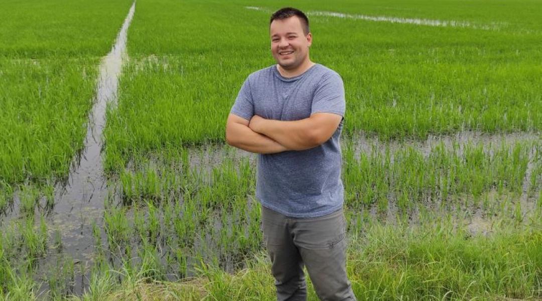 A klímaváltozás nagy kihívás Békésben is, de a rizs szépen terem