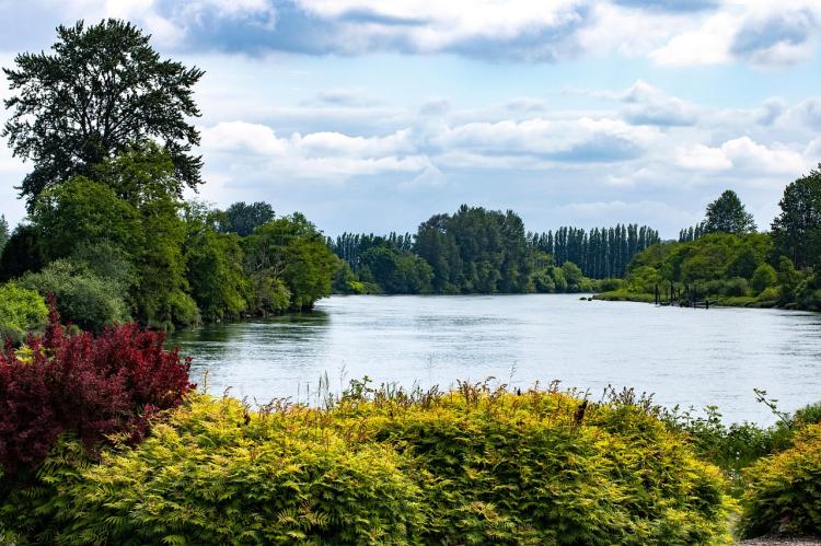 tisza