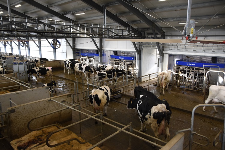 delaval