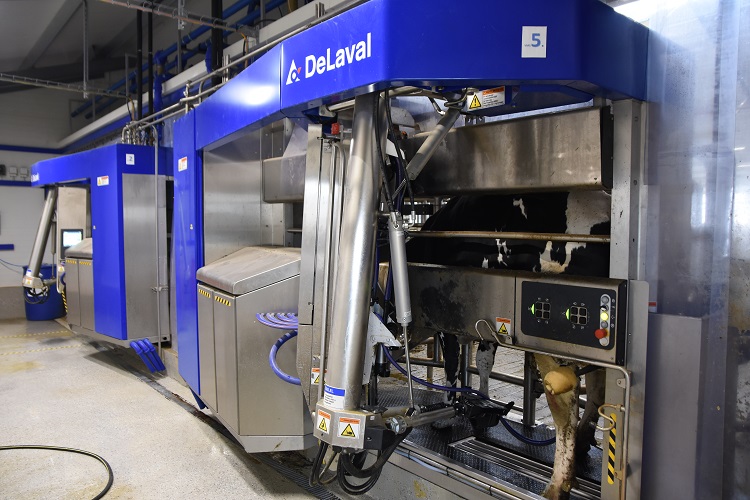 delaval