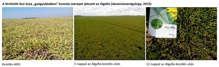 agro.bio