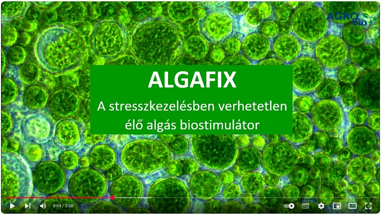 agro.bio