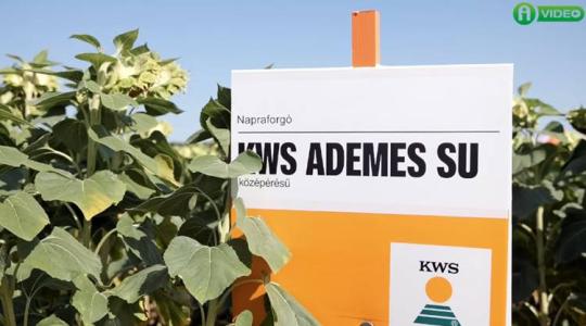Válasz a változó vetésszerkezetre: KWS hibridek Válasz a változó vetésszerkezetre: KWS hibridek