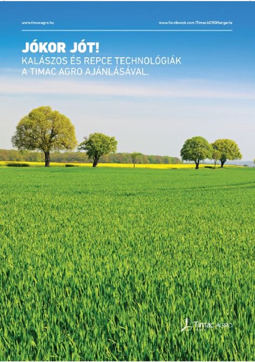kalászos