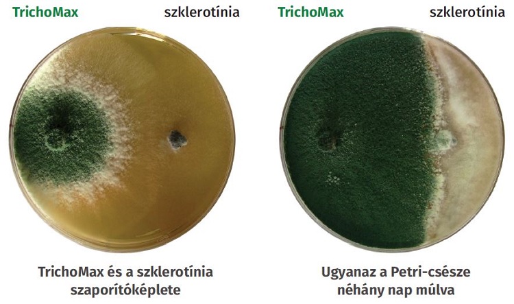agro.bio