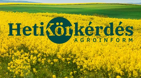 Mit jelent a tápelem-felvételi dinamikához igazított tápanyag-kijuttatás repcében? – Heti Körkérdés