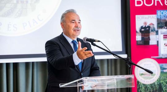 Teljes támogatás jöhet a szőlőbetegség elleni védekezésre