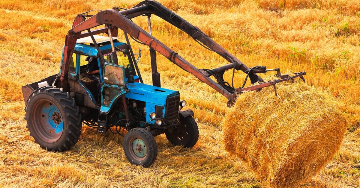 Mégis mit gondoltak? Traktoros bálalopás mint apa-fia program? Mégis mit gondoltak? Traktoros bálalopás mint apa-fia program?