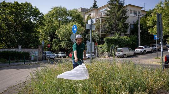 Beporzóbarát városfejlesztés: mit üzennek a kutatók a döntéshozóknak? Beporzóbarát városfejlesztés: mit üzennek a kutatók a döntéshozóknak?