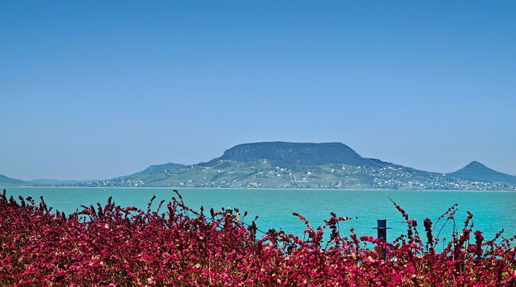balaton