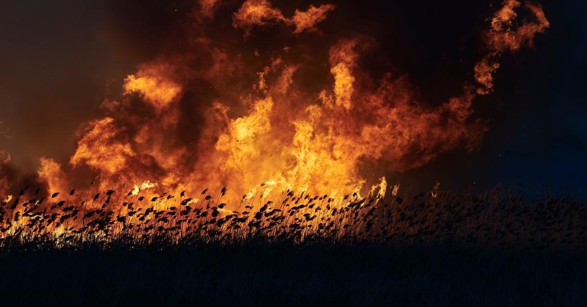 Két hektár lángolt a Dunántúlon, tanyák voltak veszélyben Két hektár lángolt a Dunántúlon, tanyák voltak veszélyben