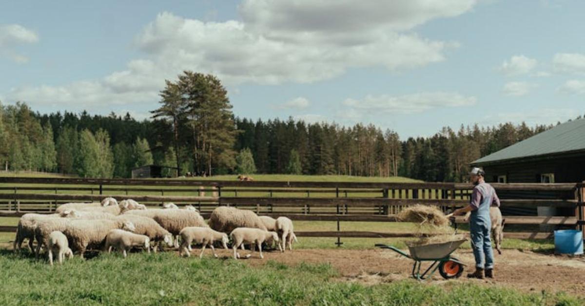 Rekordalacsony az álláskeresők száma