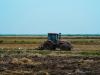 Szeptemberi agrárnaptár – fontos dátumok, amelyekre ügyelni kell
