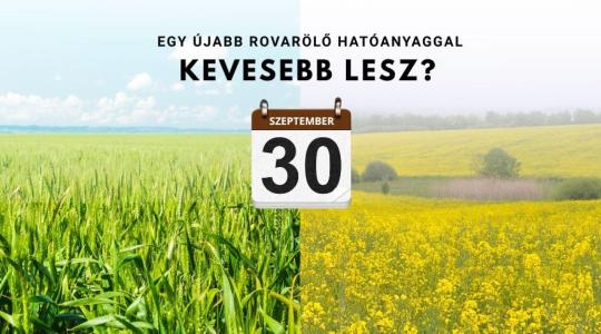 Egy újabb rovarölő hatóanyaggal kevesebb lesz? Most még beszerezheti!